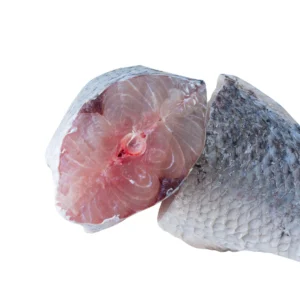 Frozen Barracuda steak