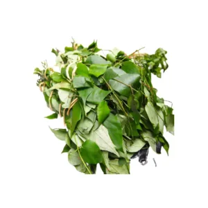 Fresh Utazi leaf bunch