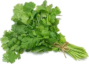Coriander leaves