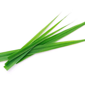 Disha lemon grass
